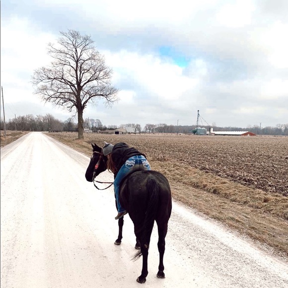 Meet your Posher, Emma - Picture 1 of 1